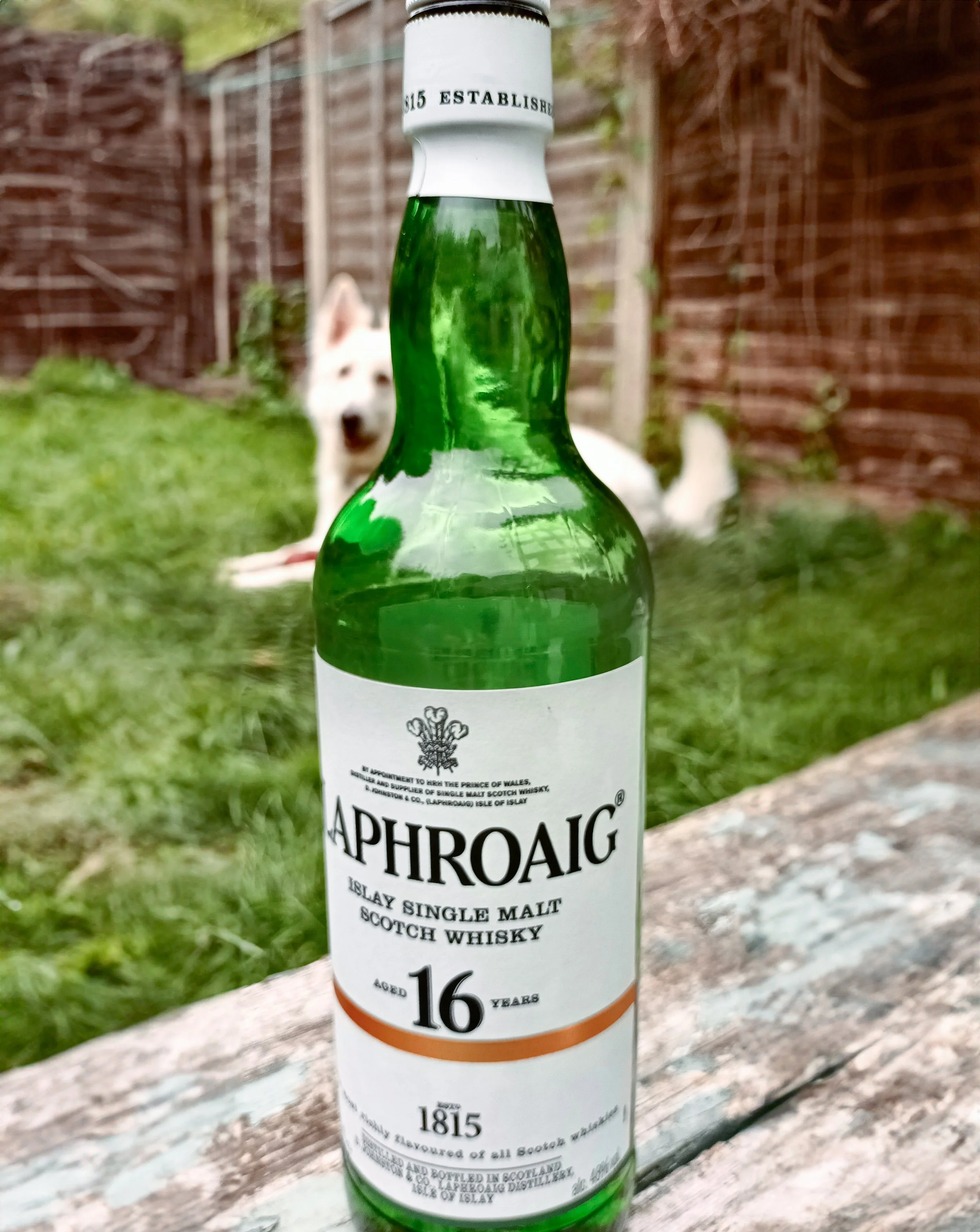 Laphroaig 16yo — Dramface